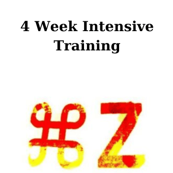 4 Week Intensive Training By Command Z