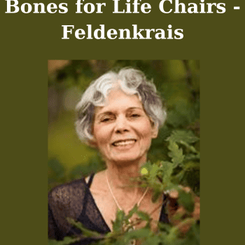 Bones for Life Chairs - Feldenkrais By Ruthy Alon