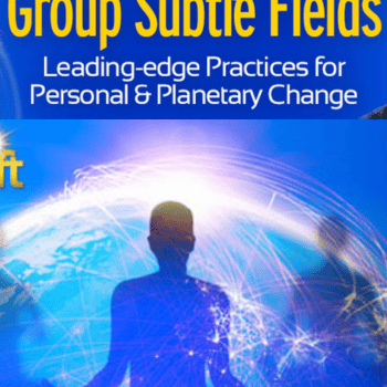 Building Group Subtle Fields By David Thomas Nicol
