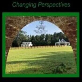 Changing Perspectives through the Rhizome By John Overdurf