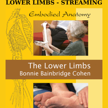 EMBODIED ANATOMY AND THE LOWER LIMBS - STREAMING By Bonnie Bainbridge Cohen