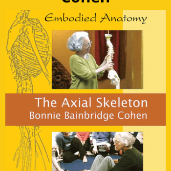 Embodied Anatomy and The Axial Skeleton - Streaming By Bonnie Bainbridge Cohen