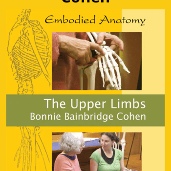 Embodied Anatomy and the Upper Limbs - Streaming By Bonnie Bainbridge Cohen
