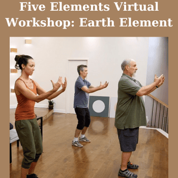 Five Elements Virtual Workshop: Earth Element By Bruce Frantzis
