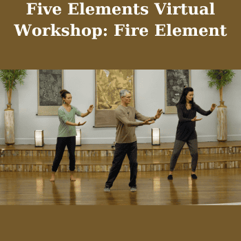 Five Elements Virtual Workshop: Fire Element By Bruce Frantzis