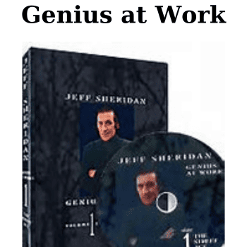 Genius at Work By Jeff Sheridan