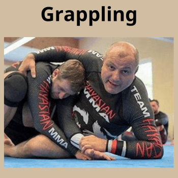 Gokor Chrvtchyan Grappling