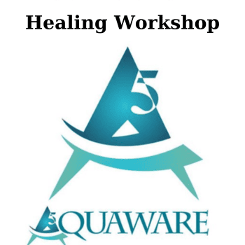Healing Workshop By Peter Schenk
