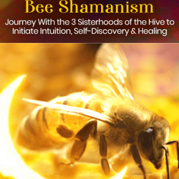 Intentional Dreaming With European Bee Shamanism By Ariella Daly