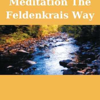Meditation The Feldenkrais Way By Donna Ray