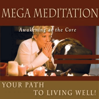 Mega Meditation By Sue Morter
