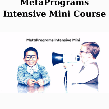 MetaPrograms Intensive Mini Course By Joseph Riggio
