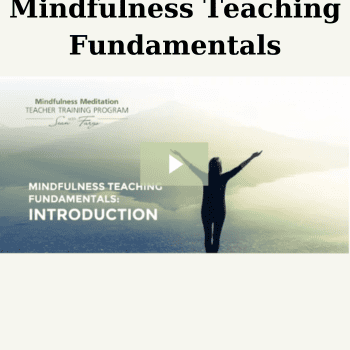 Mindfulness Teaching Fundamentals By Sean Fargo