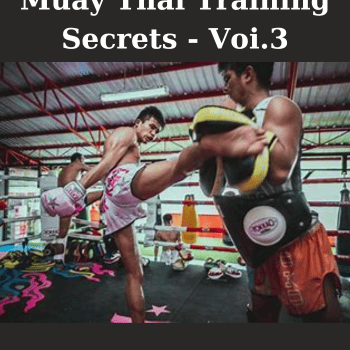 Muay Thai Training Secrets - Voi.3 By Master Toddy