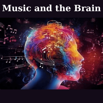 Music and the Brain By TTC Video
