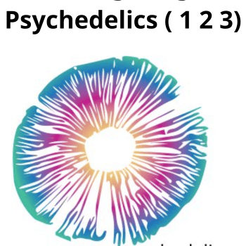 Navigating Psychedelics ( 1 2 3)