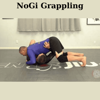 NoGi Grappling By Katsuya Toida