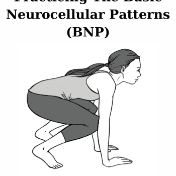 Practicing The Basic Neurocellular Patterns (BNP) By Bonnie Bainbridge Cohen