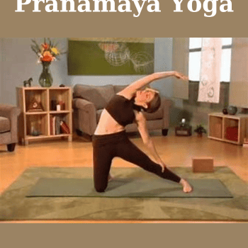 Pranamaya Yoga By Jill Miller