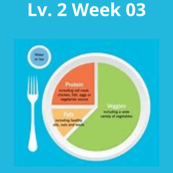Precision Nutrition Lv. 2 Week 03
