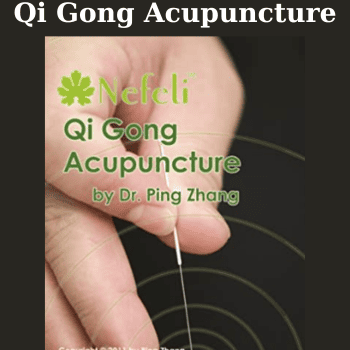 Qi Gong Acupuncture By Ping Zhang