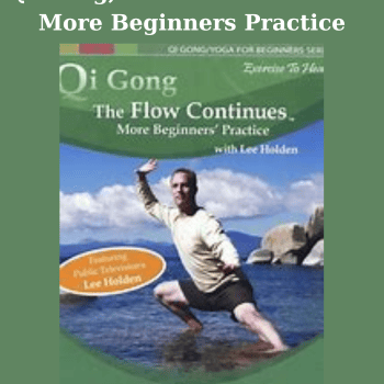 Qi Gong, The Flow Continues: More Beginners Practice By Lee Holden