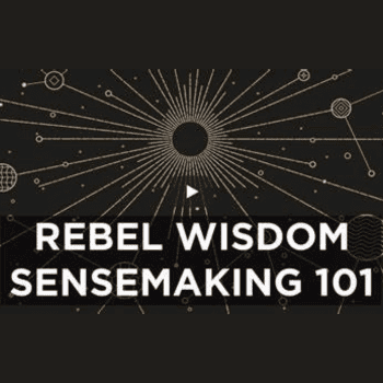 Sensemaking 101 By Rebel Wisdom