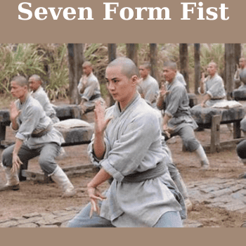 Seven Form Fist By Shi Zhen Gang