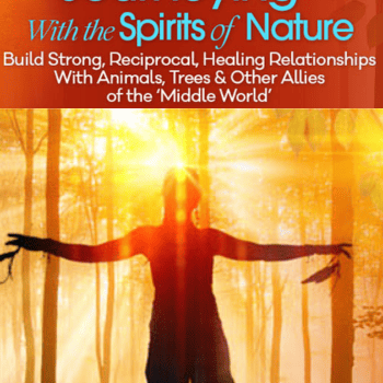 Shamanic Journeying With the Spirits of Nature By Sandra Ingerman