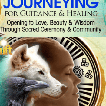 Shamanic Journeying for Guidance and Healing By Sandra Ingerman