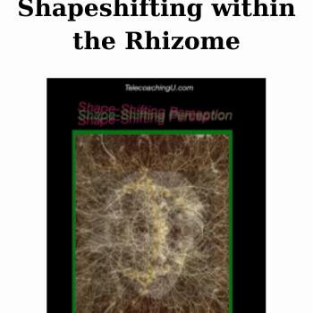 Shapeshifting within the Rhizome By John Overdurf