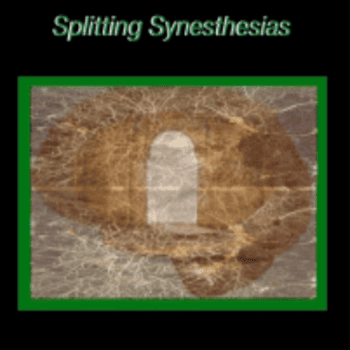 Splitting Synethesias Within the Rhizome By John Overdurf