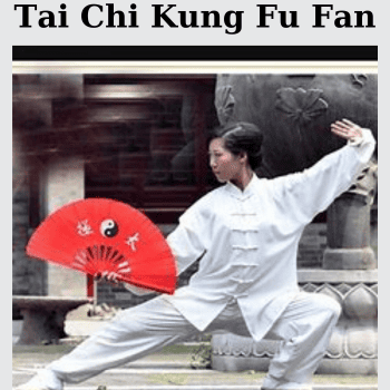 Tai Chi Kung Fu Fan By Jesse Tsao