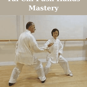 Tai Chi Push Hands Mastery By Bruce Kumar Frantzis