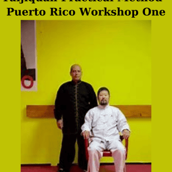 Taijiquan Practical Method - Puerto Rico Workshop One By Chen Zhonghua