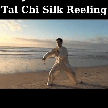 Tal Chi Silk Reeling By Jesse Tsao