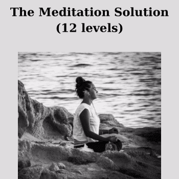The Meditation Solution (12 levels) By Ethan Vorly