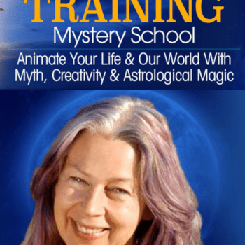 The Trickster Training Mystery School By Caroline Casey
