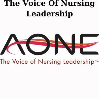 The Voice Of Nursing Leadership By AONE 2016