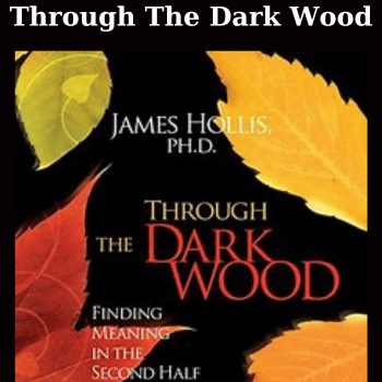 Through The Dark Wood By James Hollis