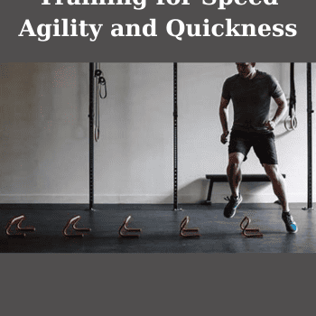 Training for Speed Agility and Quickness By Brown and Ferrigno