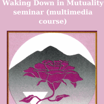 Waking Down in Mutuality seminar (multimedia course) By Saniel and Linda