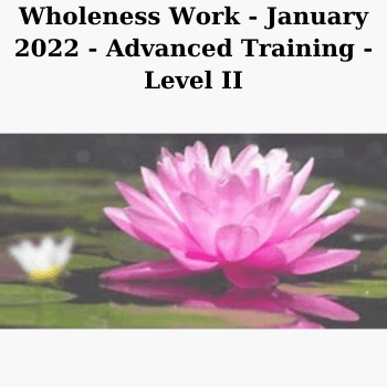 Wholeness Work - January 2022 - Advanced Training - Level II By Connirae Andreas