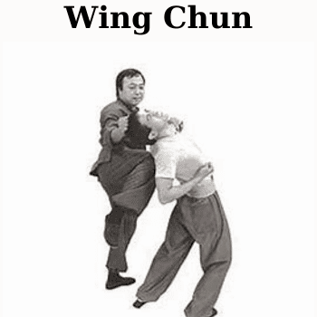 Wing Chun By Master Fong