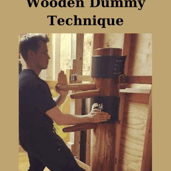Wooden Dummy Technique By Ip Chun