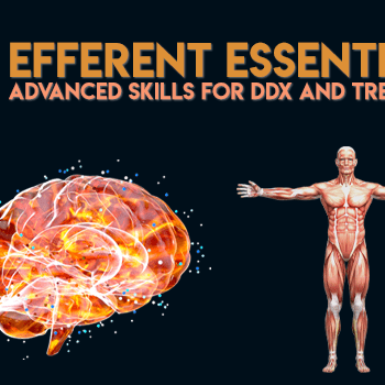 $297 for (530) Efferent Essentials - Techniques for Peripheral and Central Lesions Course