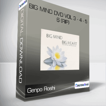 $23 for Genpo Roshi - Big Mind DVD Vol 3 - 4 - 5 - 6 (Rip) Course