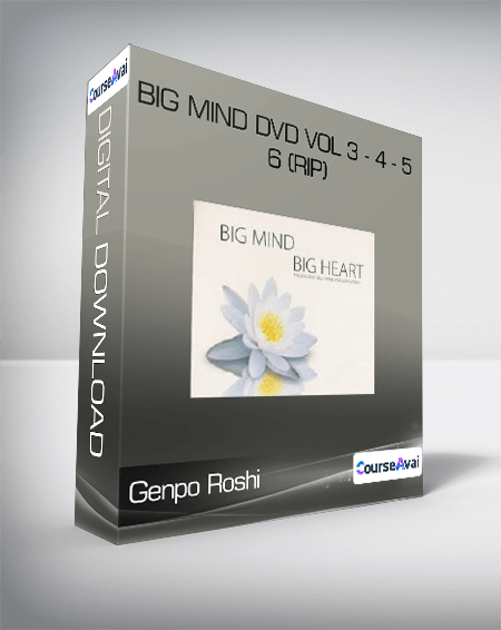 $23 for Genpo Roshi - Big Mind DVD Vol 3 - 4 - 5 - 6 (Rip) Course