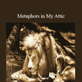 $6 for Andrew Austin - Metaphors in My Attic Course