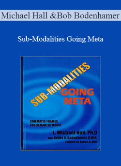 $10 for Michael Hall and Bob Bodenhamer â€“ Sub-Modalities Going Meta Course
